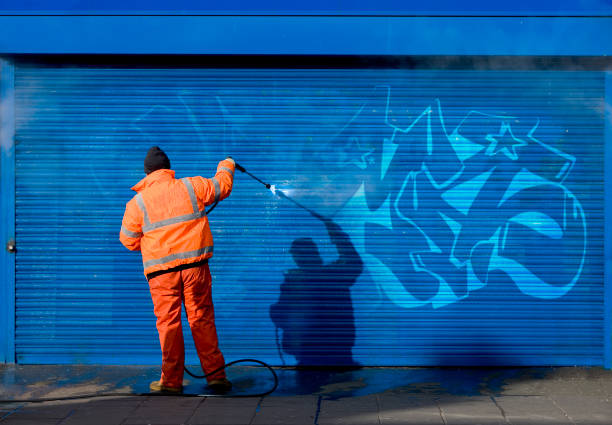 Best Pressure Washing Siding  in Camden, NJ