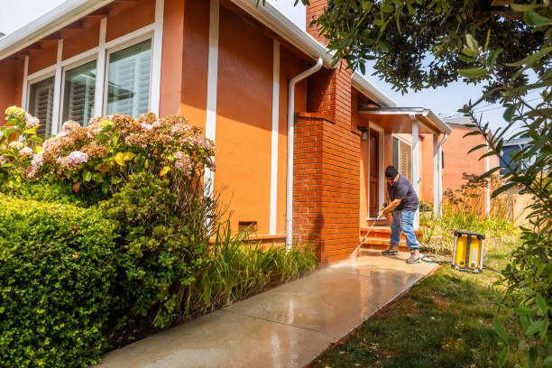 Best Best Pressure Washing Companies  in Camden, NJ